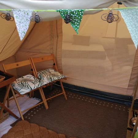 Coed Y Brenin Retreat - Bell Tent Glamping Near Aberaeron Ciliau-Aeron Exterior foto