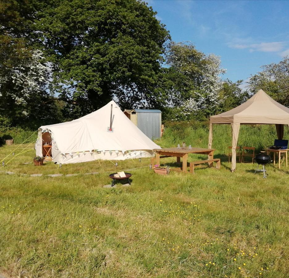 Coed Y Brenin Retreat - Bell Tent Glamping Near Aberaeron Ciliau-Aeron Exterior foto