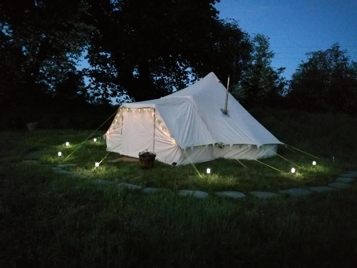 Coed Y Brenin Retreat - Bell Tent Glamping Near Aberaeron Ciliau-Aeron Exterior foto
